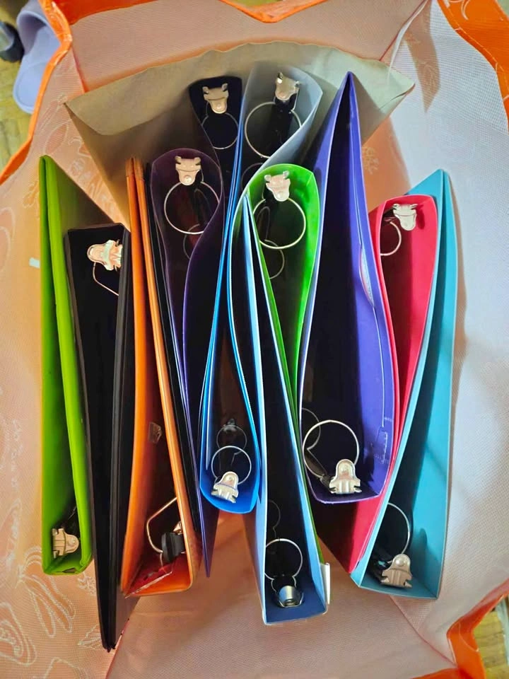 12 Binders