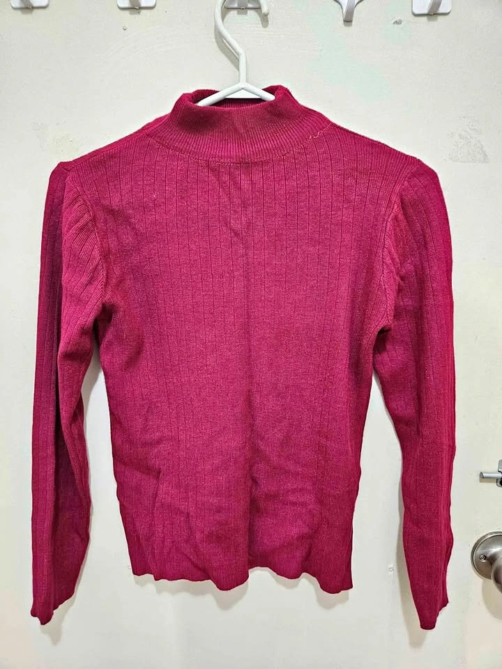 Turtlenecks (2 items)