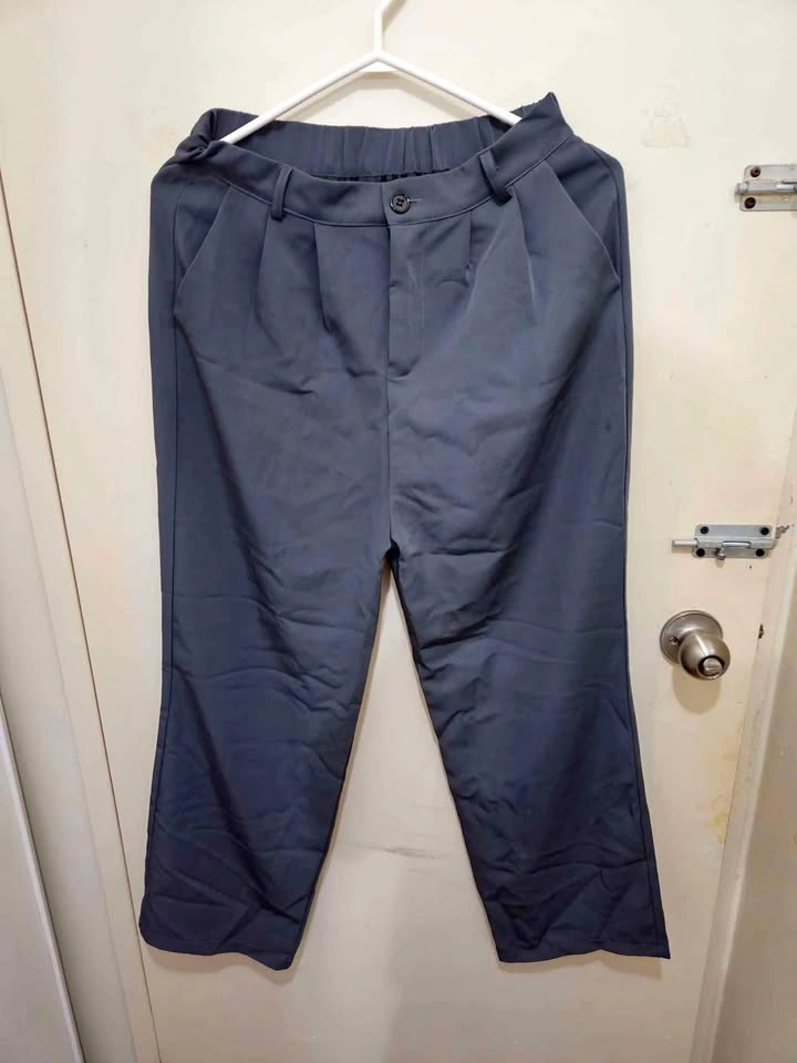 Pleated Pants