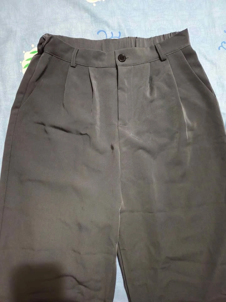 Pleated Pants - photo 2