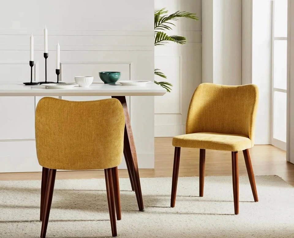 🔥 Modern Dining Chairs (Set of 2) 🔥
