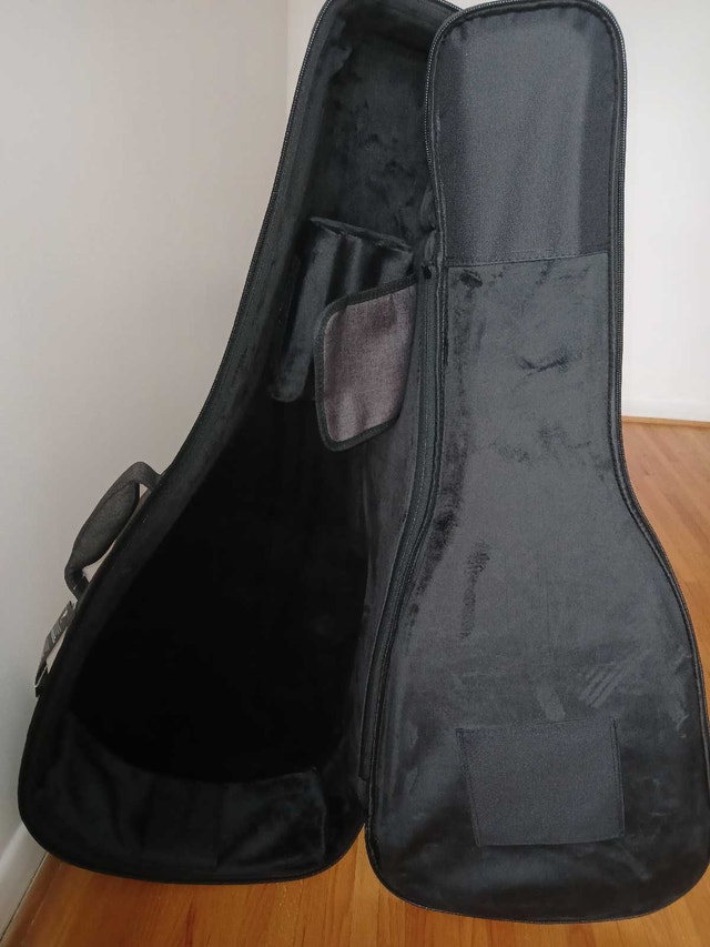 Guitar Beginner Bundle - photo 2