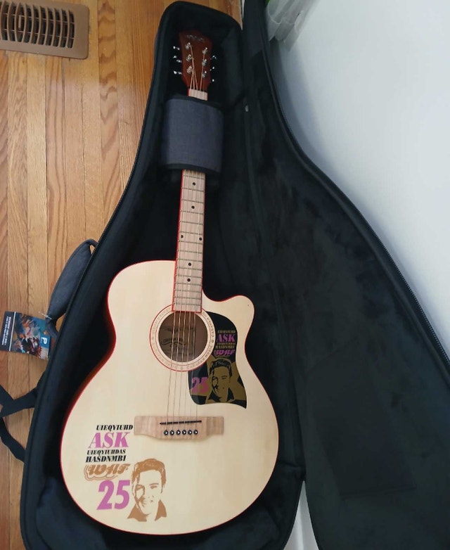 Guitar Beginner Bundle - photo 3
