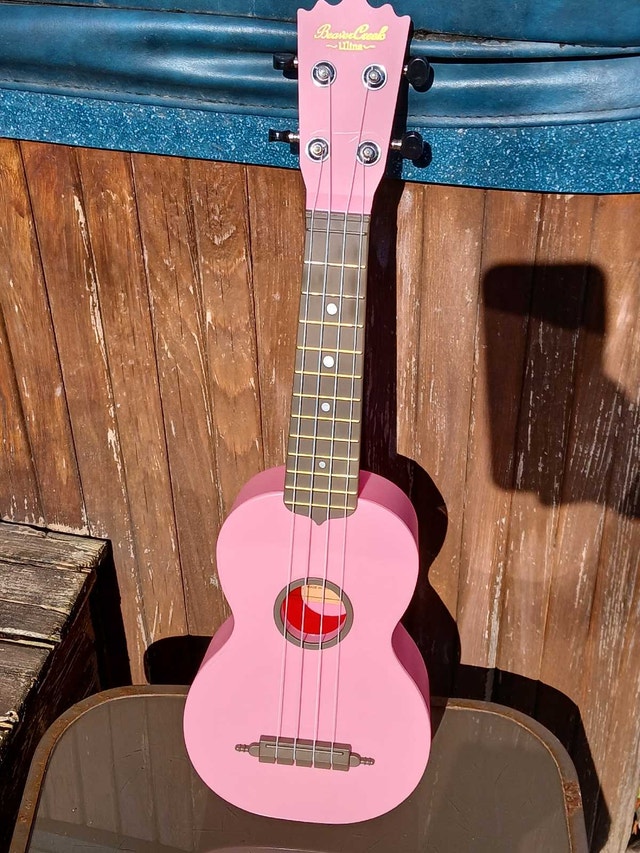 Used Ukulele