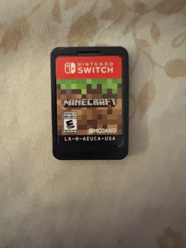 Minecraft for Switch