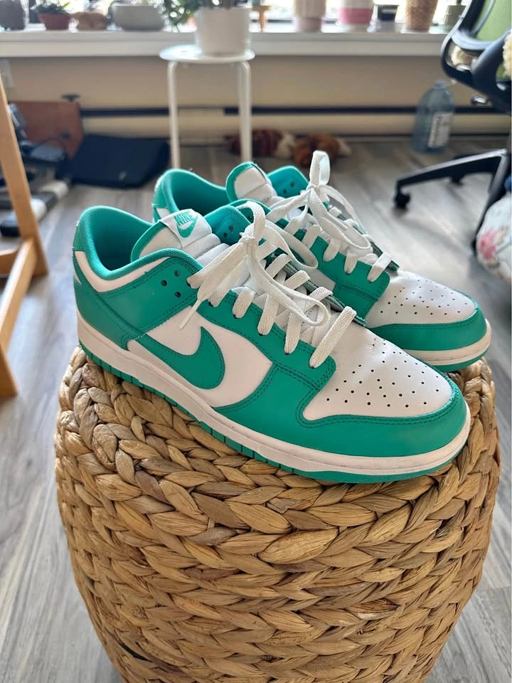 Nike Teal Dunks Size 10