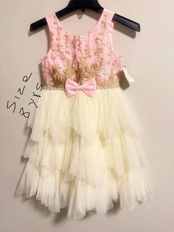Pink Gold Embroidered Tulle Dress Size 8 yrs