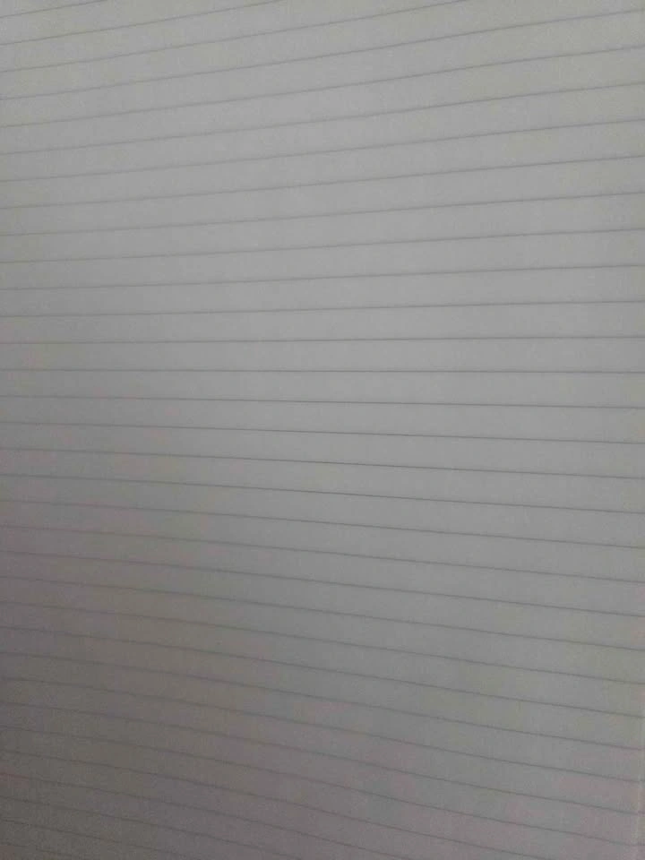 3 tru red notebooks (large) - unused - photo 5