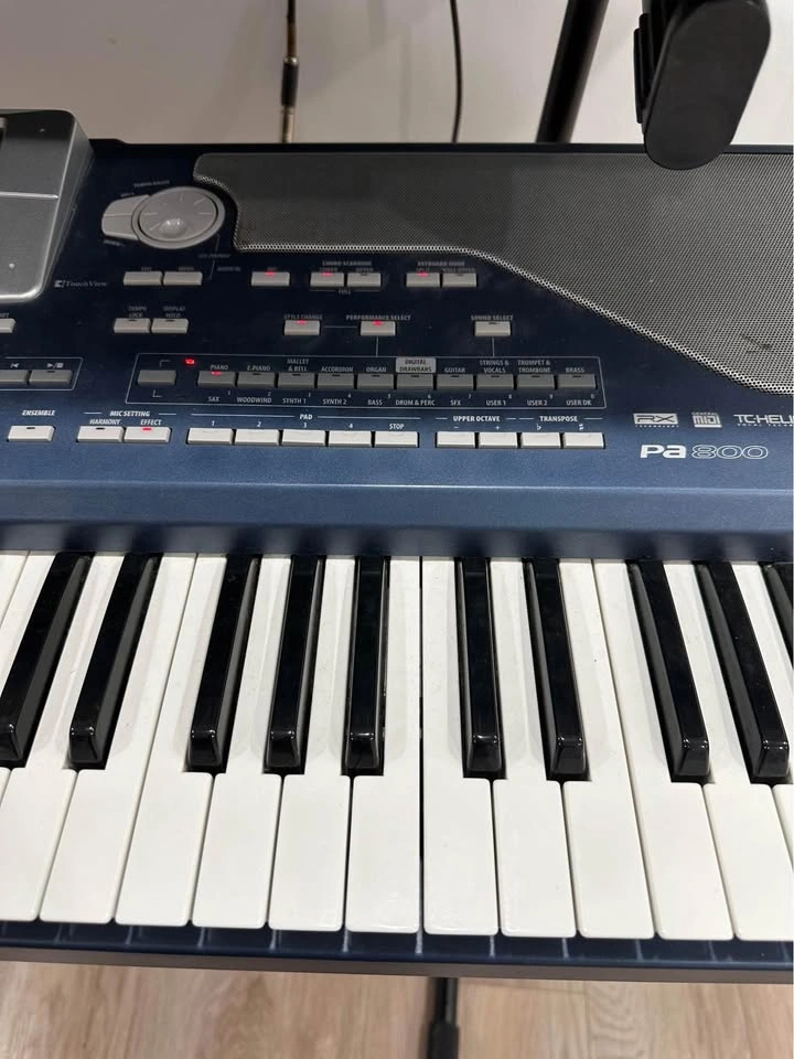 Korg pa 800