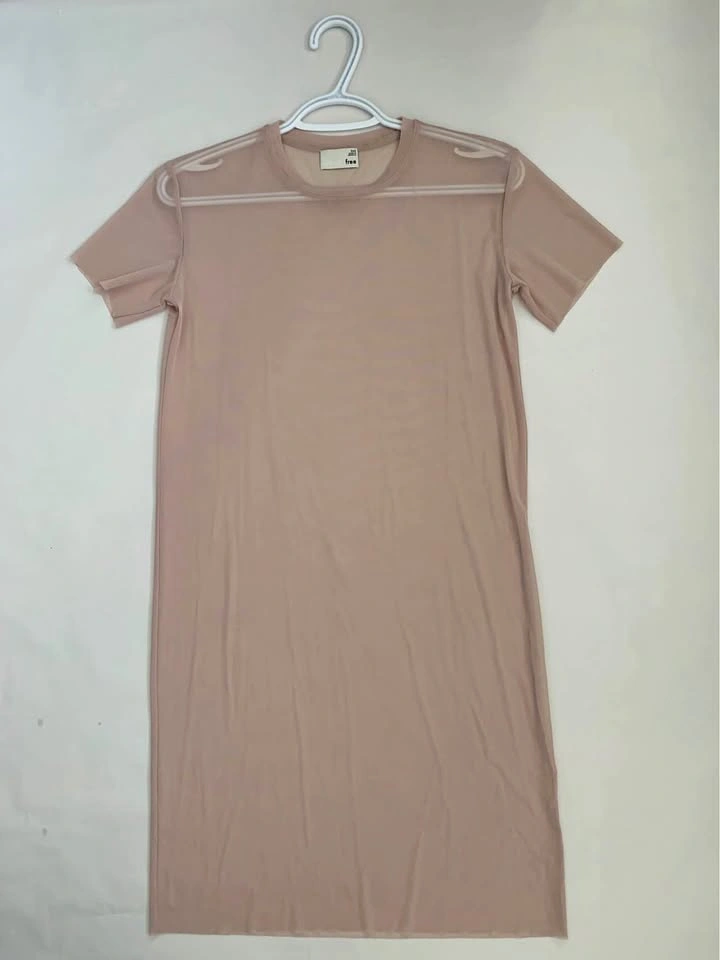 Aritzia Pontes Dress (sheer t-shirt dress)