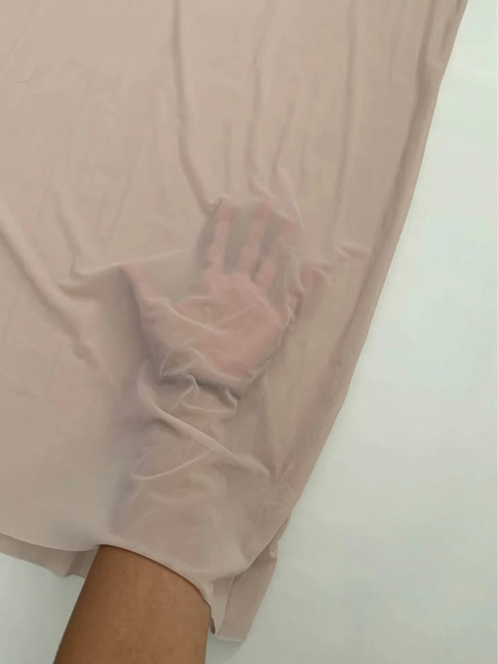 Aritzia Pontes Dress (sheer t-shirt dress) - photo 2