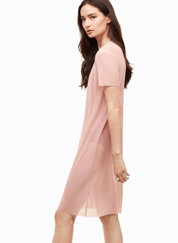 Aritzia Pontes Dress (sheer t-shirt dress) - photo 4