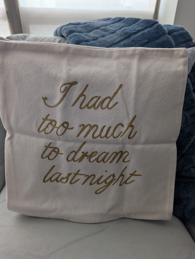 "I HAD TO MUCH TOO DREAM LAST NIGHT" Pillow cover