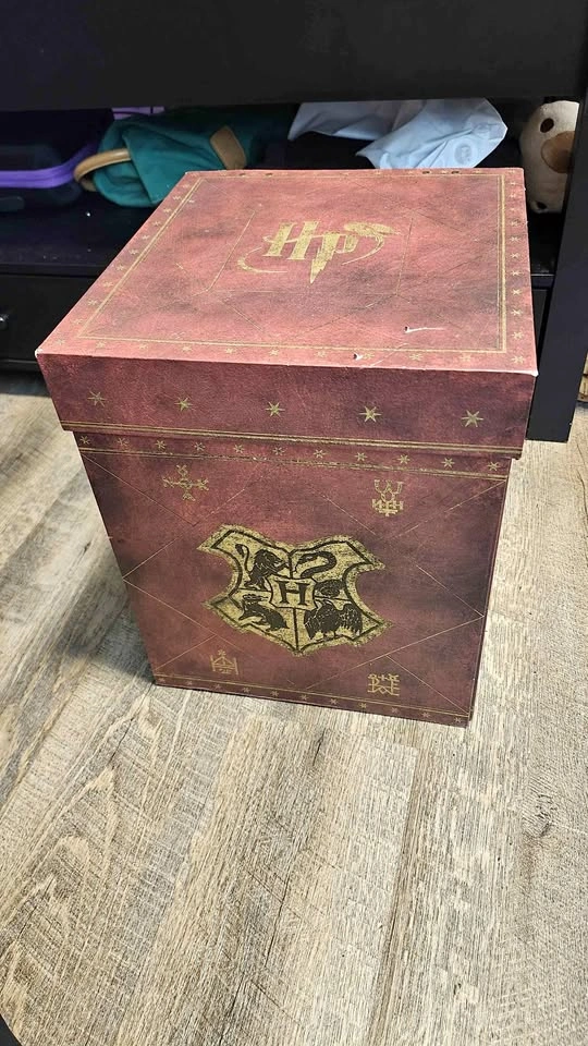 Harry Potter Wizards Collection