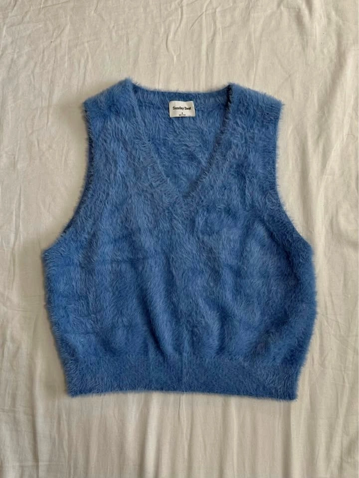 Aritzia Sweater Vest