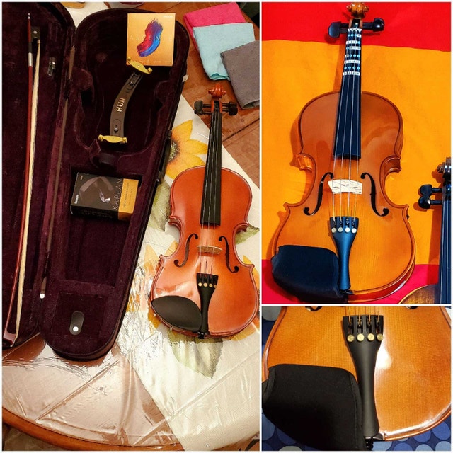 ✴️Upgrade 4/4 StentorViolin D'Addario AscenteStrings+Accessories - photo 2