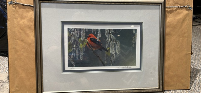 Robert Bateman Signed Print - Scarlet Tanager and Alder Blossoms - photo 2