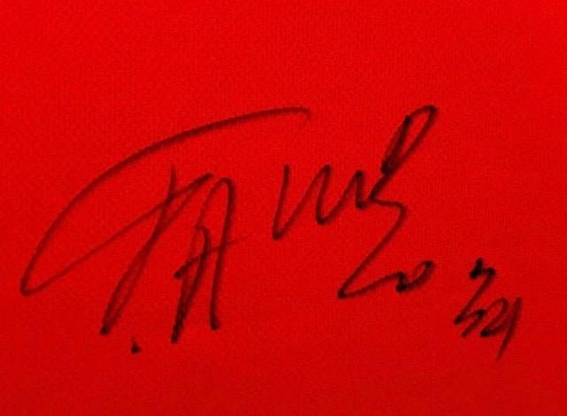 Giannis Antetokounmpo Signed Jersey - photo 4