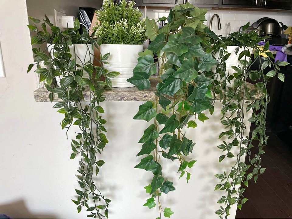4 Artificial Plants with Pots - Price per Plant - River North