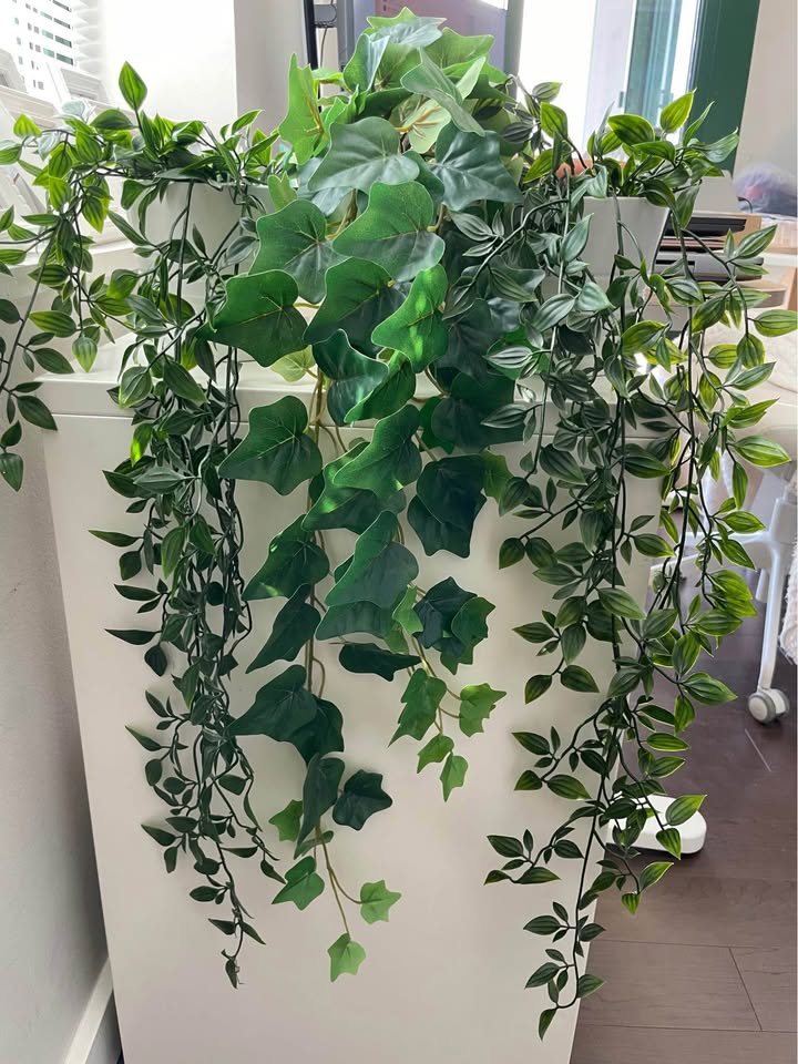 4 Artificial Plants with Pots - Price per Plant - River North - photo 2