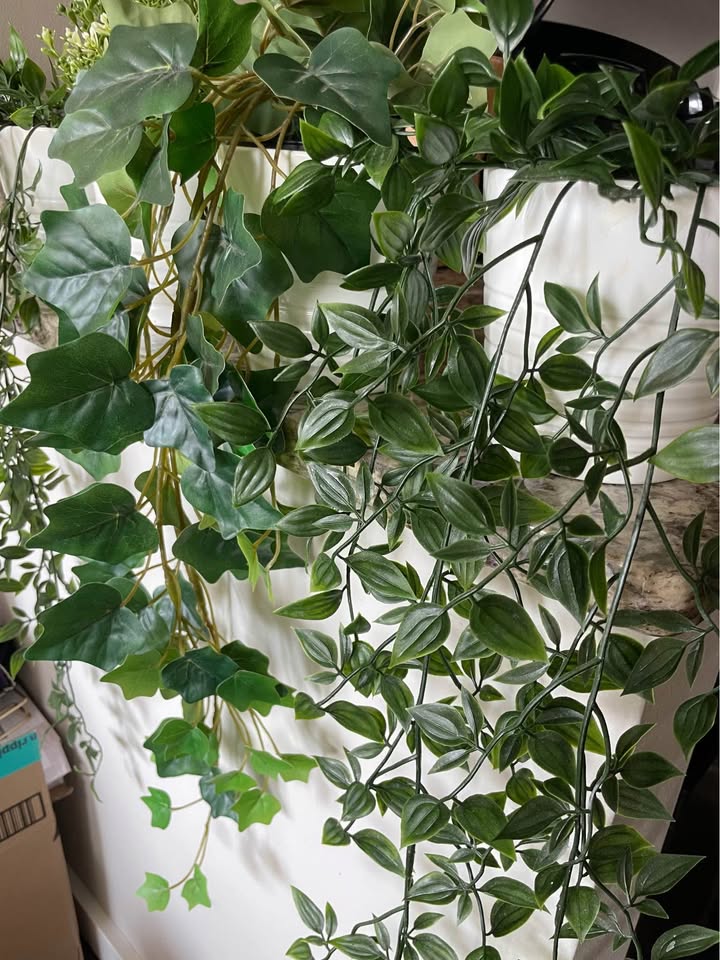 4 Artificial Plants with Pots - Price per Plant - River North - photo 3