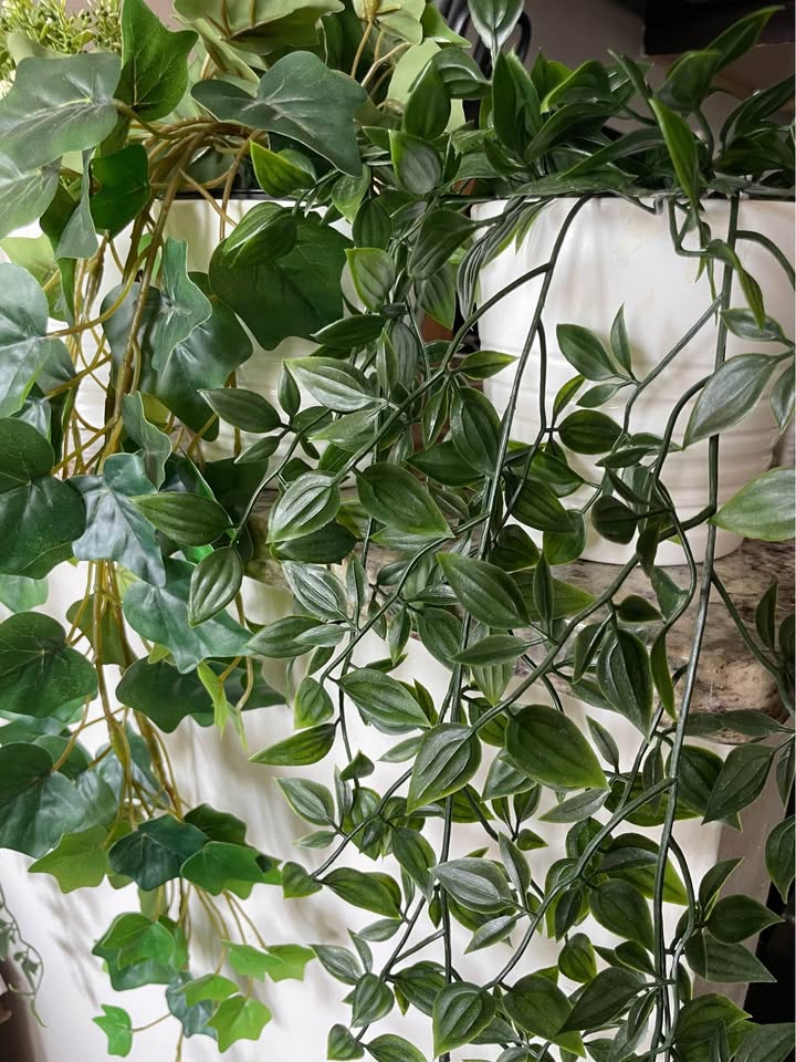 4 Artificial Plants with Pots - Price per Plant - River North - photo 4