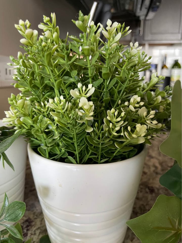 4 Artificial Plants with Pots - Price per Plant - River North - photo 5