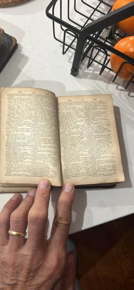 4 Antique Books - Over 100 Years Old - photo 2