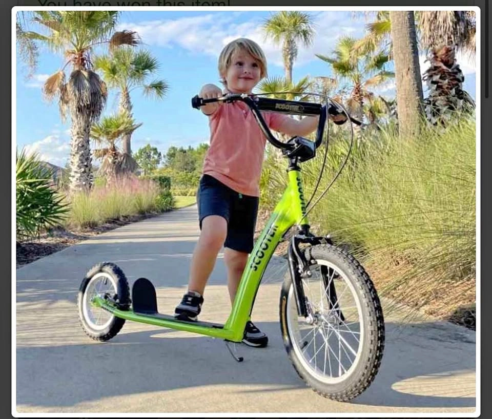 Aosom Youth Scooter for Kids 5+, Adjustable Handlebar, Dual Brak