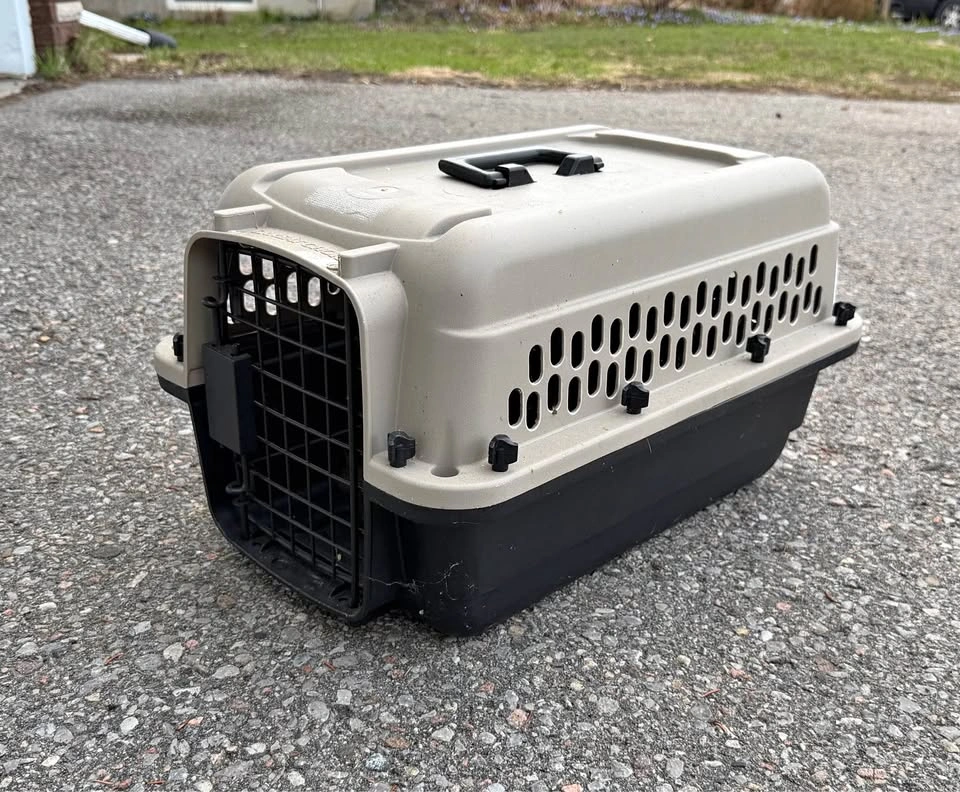 Small pet taxi