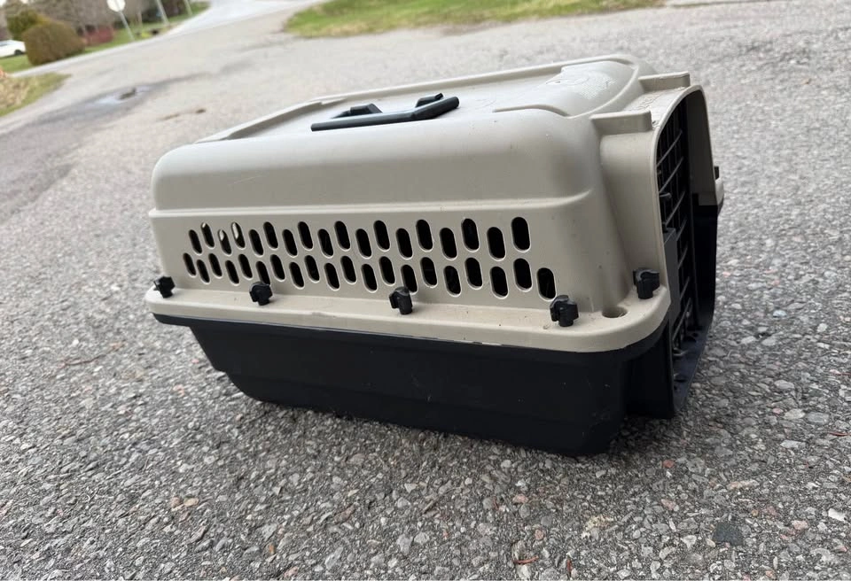 Small pet taxi - photo 2