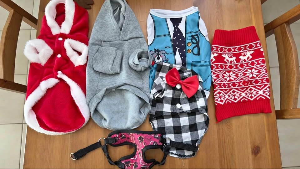 Dog/Puppy Clothes - Small