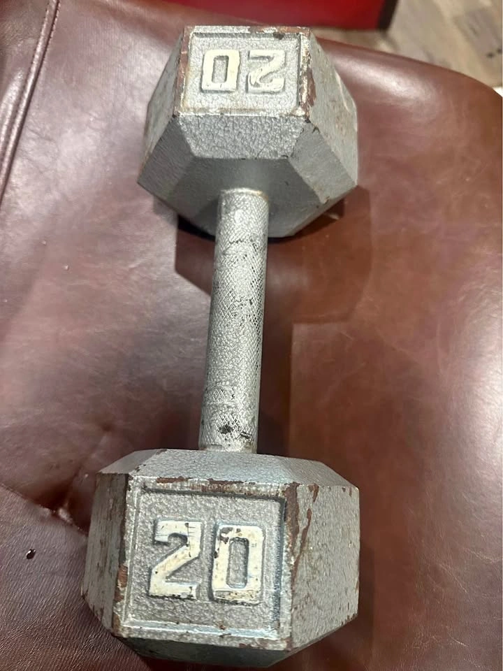 20 lb Hex Dumbbell – Cast Iron