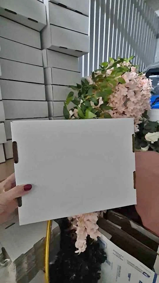 Uline Plain White Shipping Boxes 10x6x4