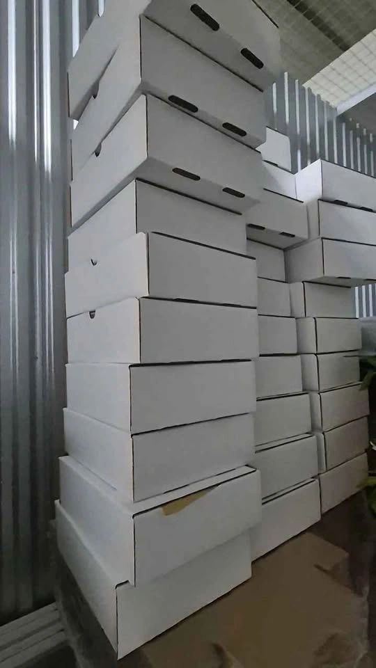 Uline Plain White Shipping Boxes 10x6x4 - photo 2