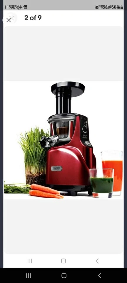 Kuvings Slow Masticating Cold Press Juicer