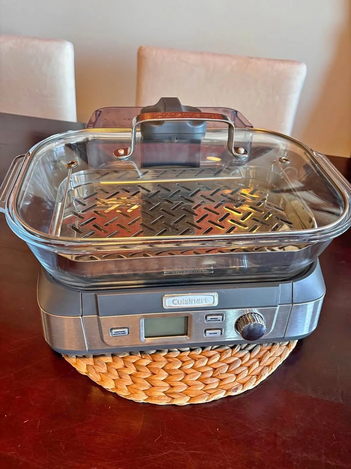 Cuisinart Glass Steamer – Good Used Condition