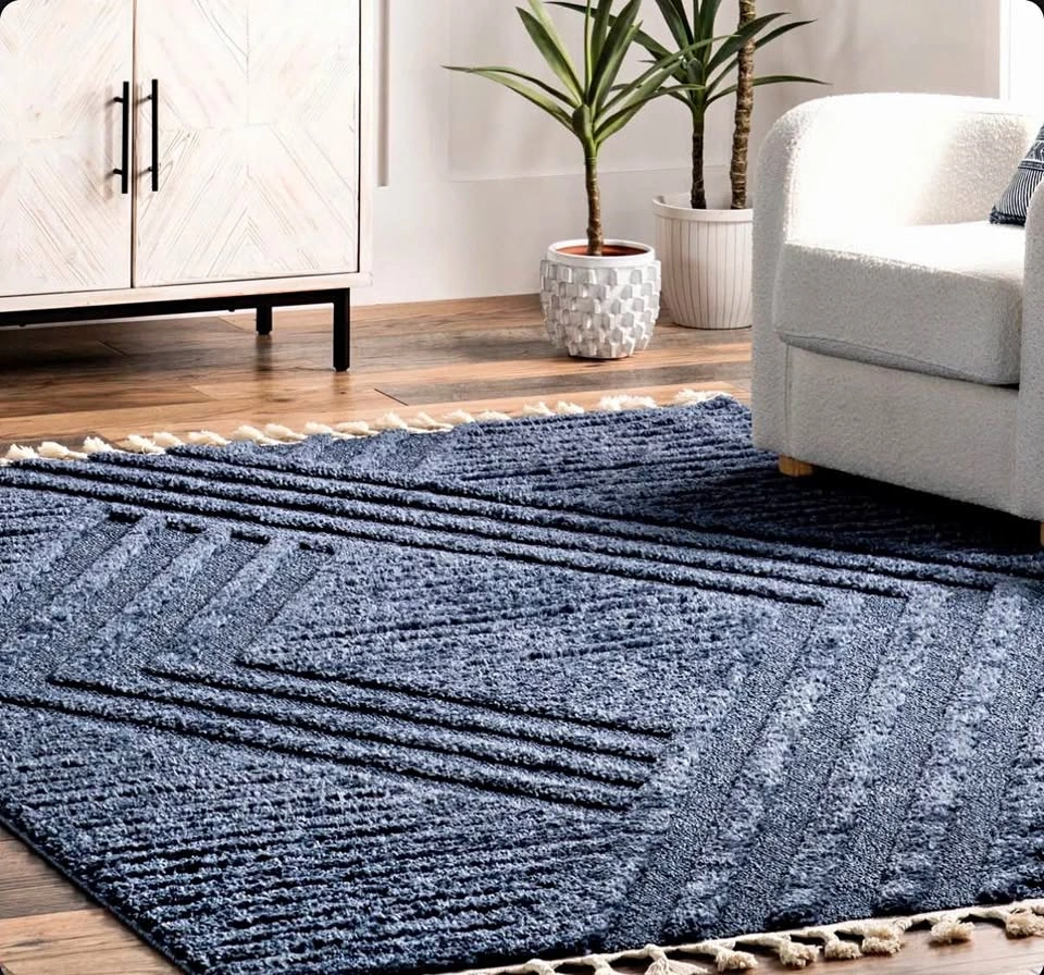 Brand new area rug, blue, 5x8