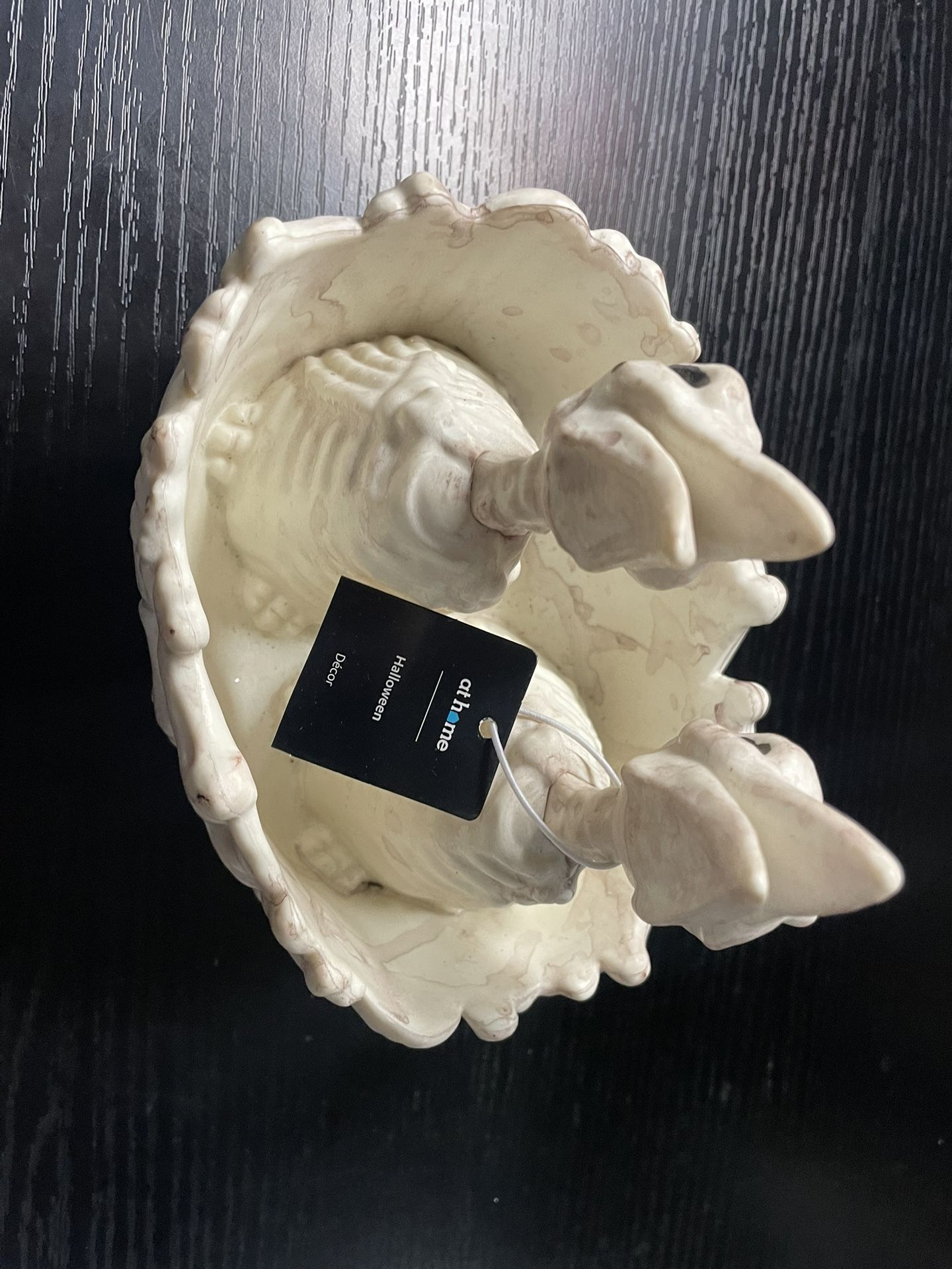 Skeleton Birds in Bone Nest - Faux Halloween Decor - photo 3