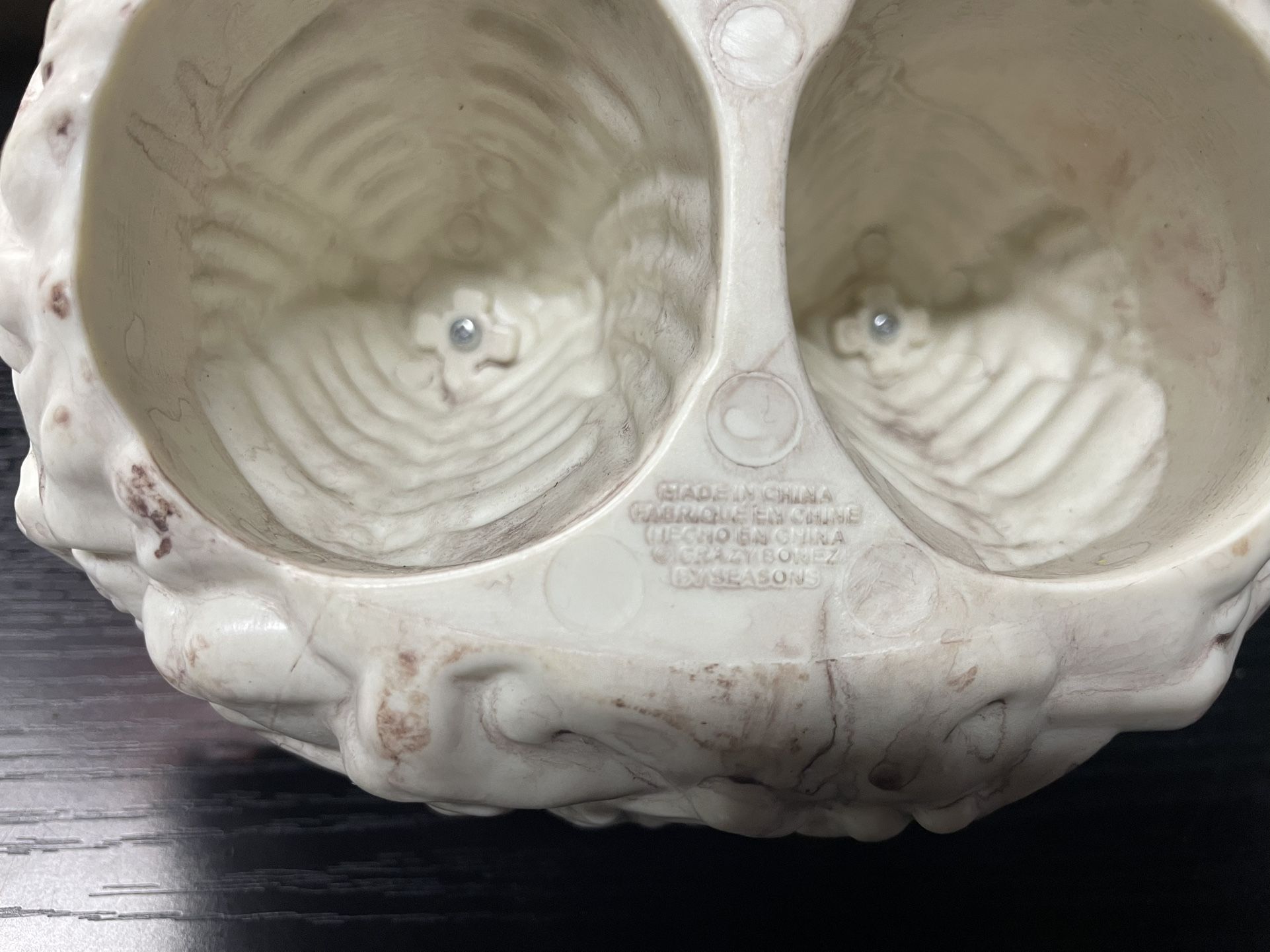 Skeleton Birds in Bone Nest - Faux Halloween Decor - photo 5