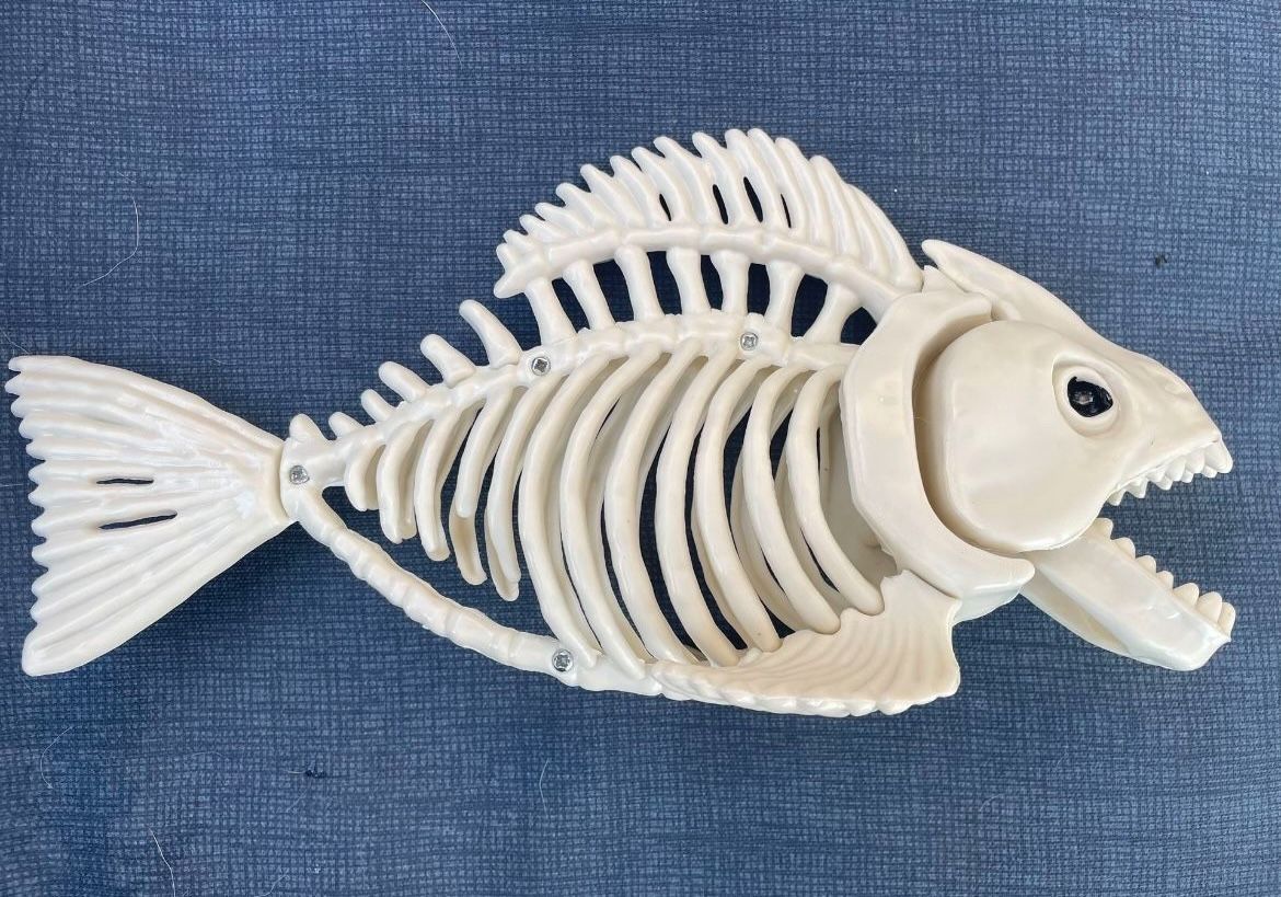 Skeleton Fish With Moveable Jaws - Halloween Decor
