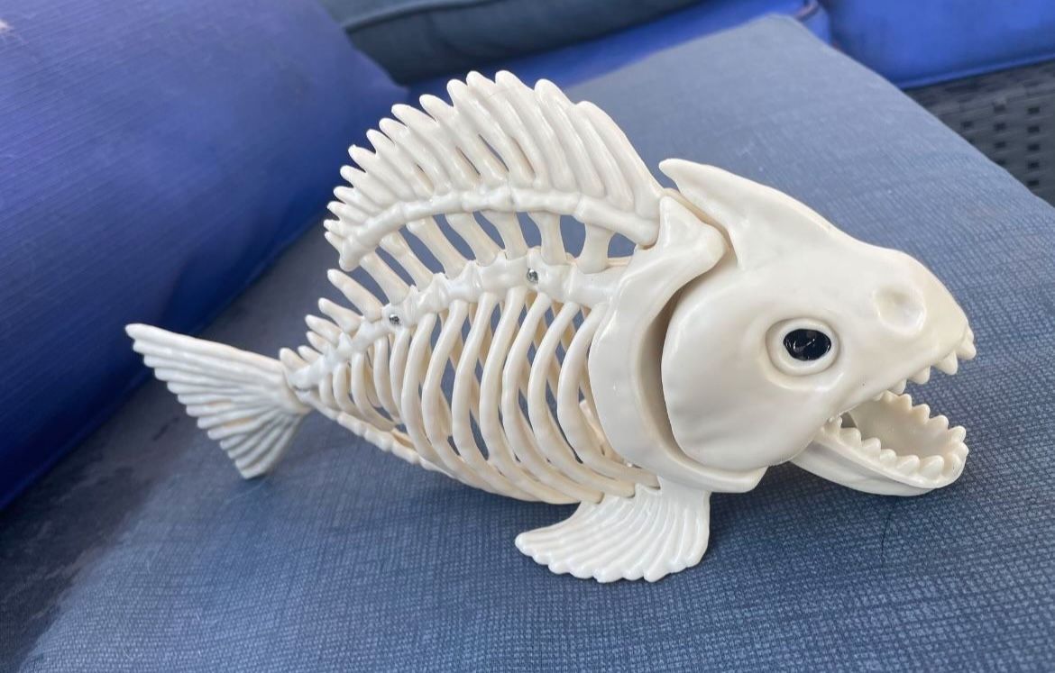 Skeleton Fish With Moveable Jaws - Halloween Decor - photo 2
