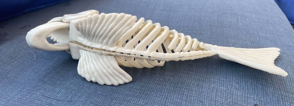 Skeleton Fish With Moveable Jaws - Halloween Decor - photo 5