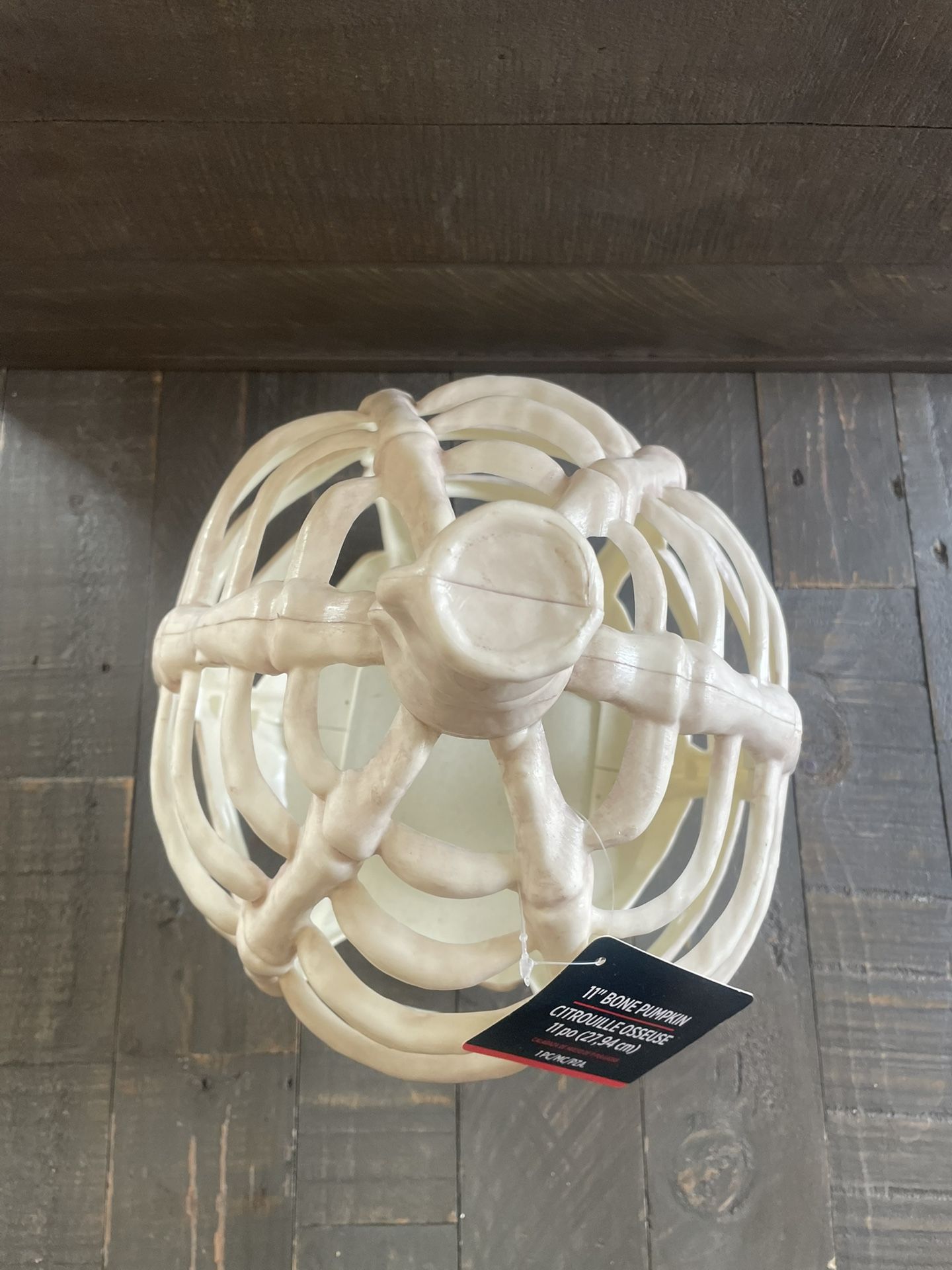NEW - Giant Pumpkin Skeleton - Plastic - photo 2