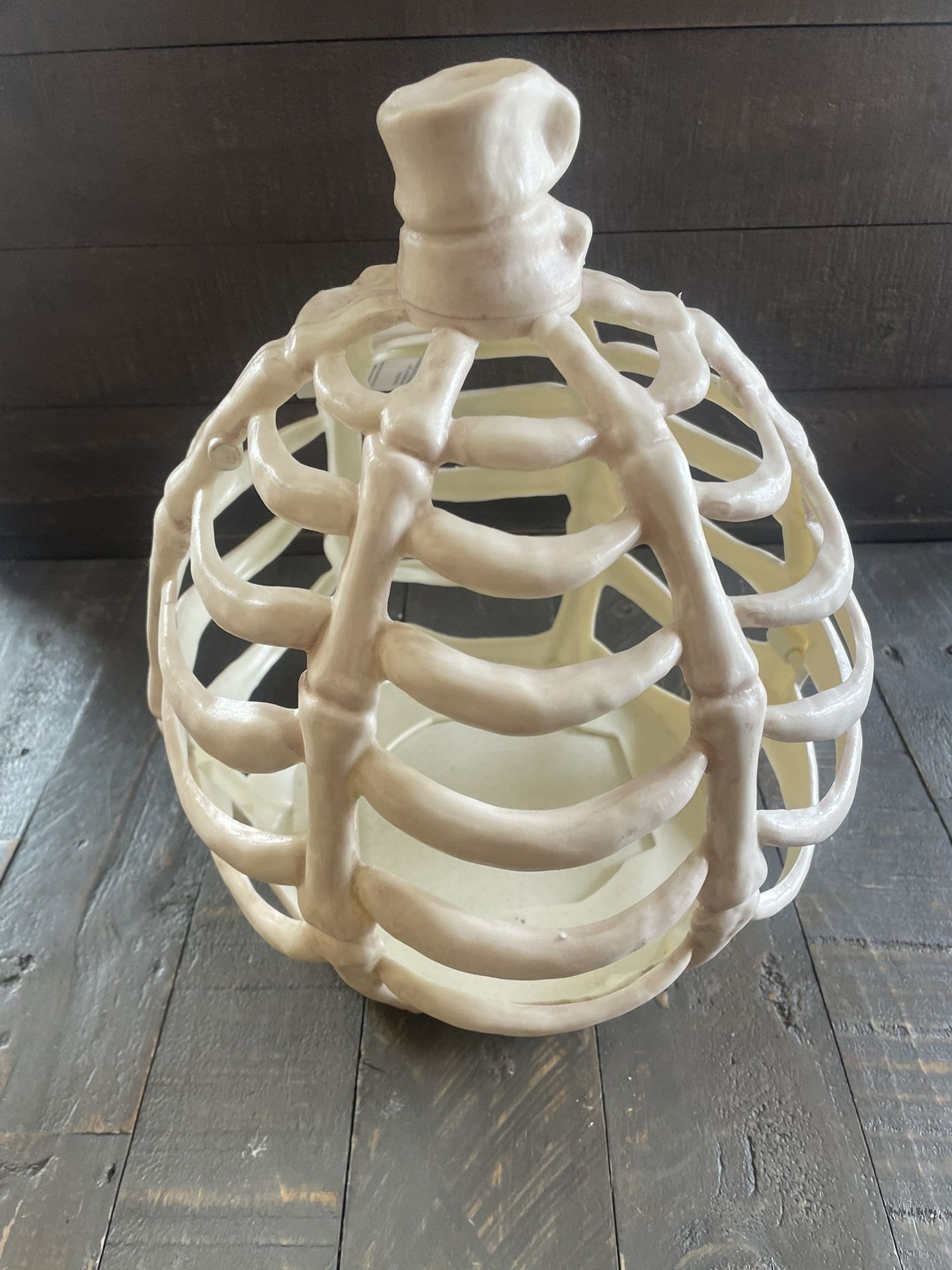 NEW - Giant Pumpkin Skeleton - Plastic - photo 3