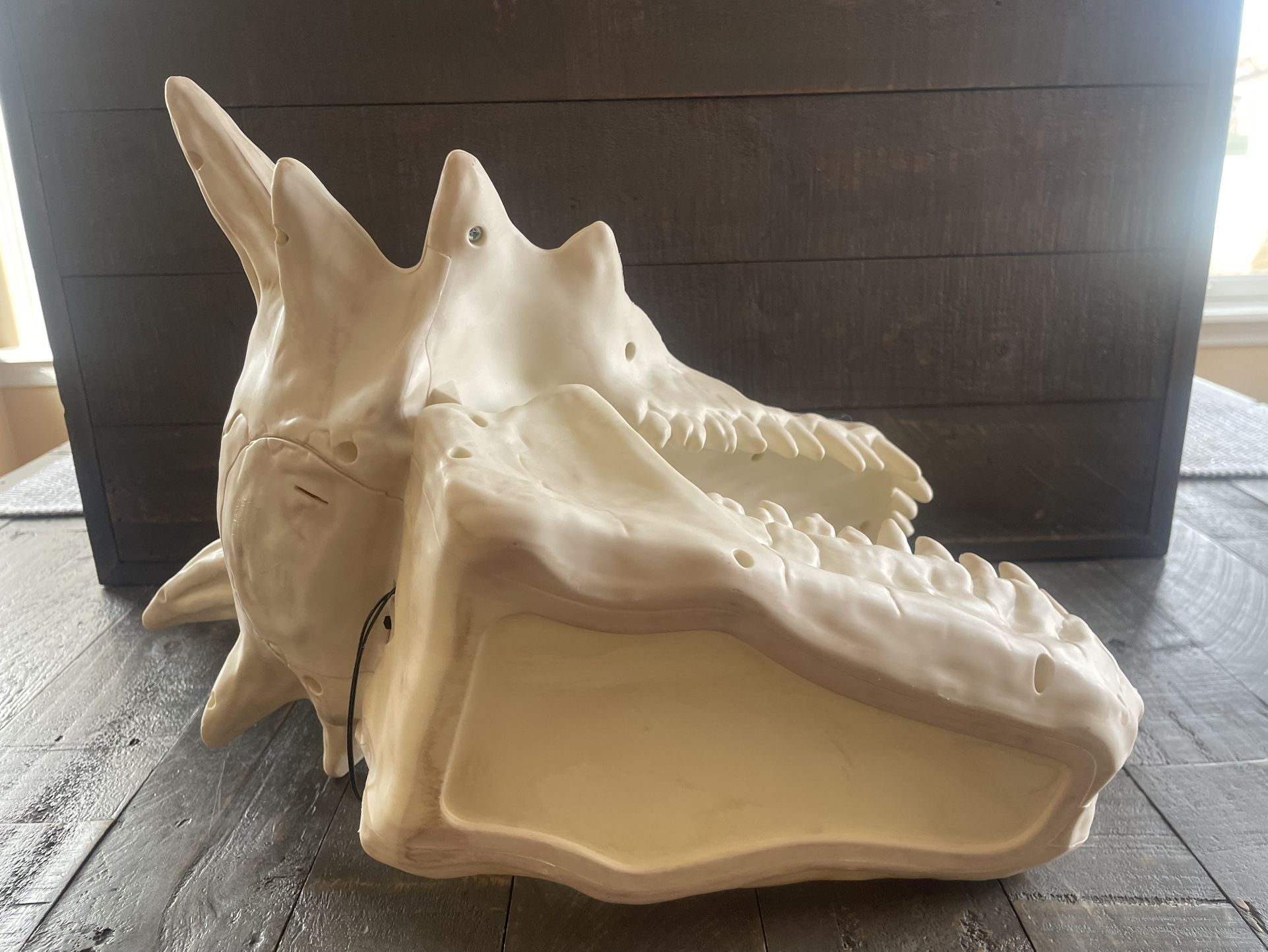 LED Light Up Dragon Skull With Moving Jaws - photo 5