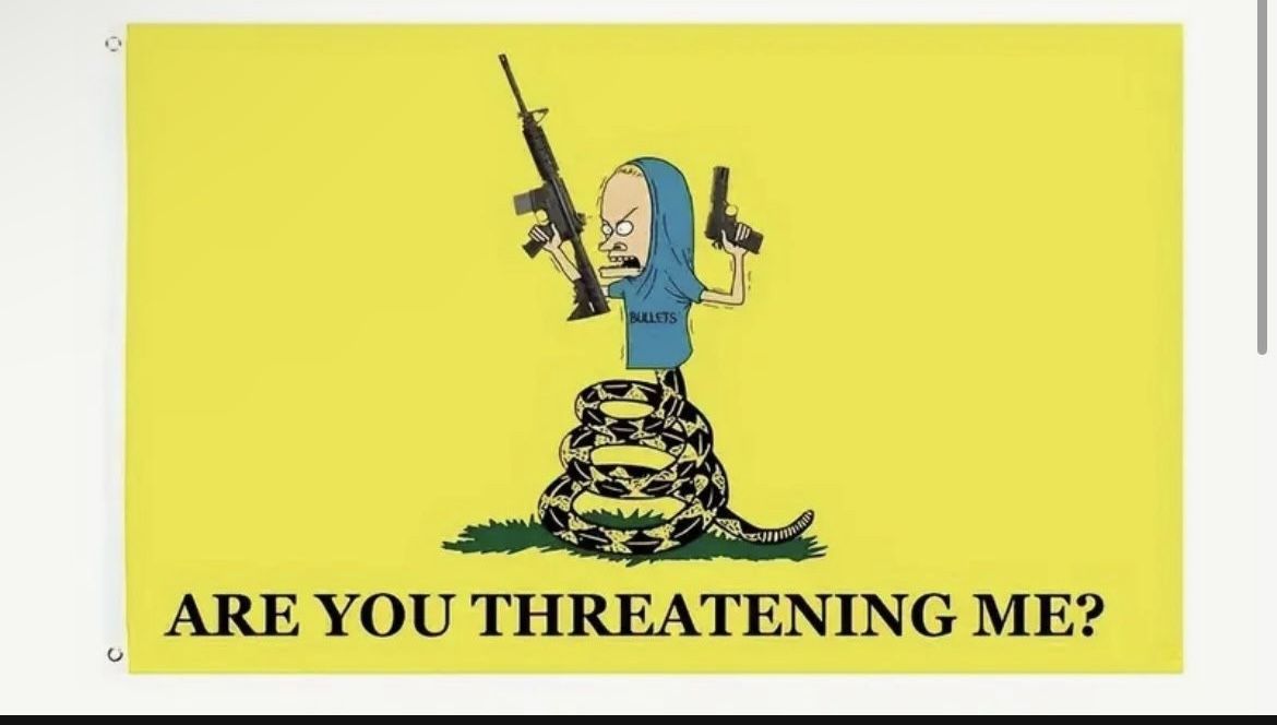 Beavis and Butthead - Are You Threatening me Polyester Flag