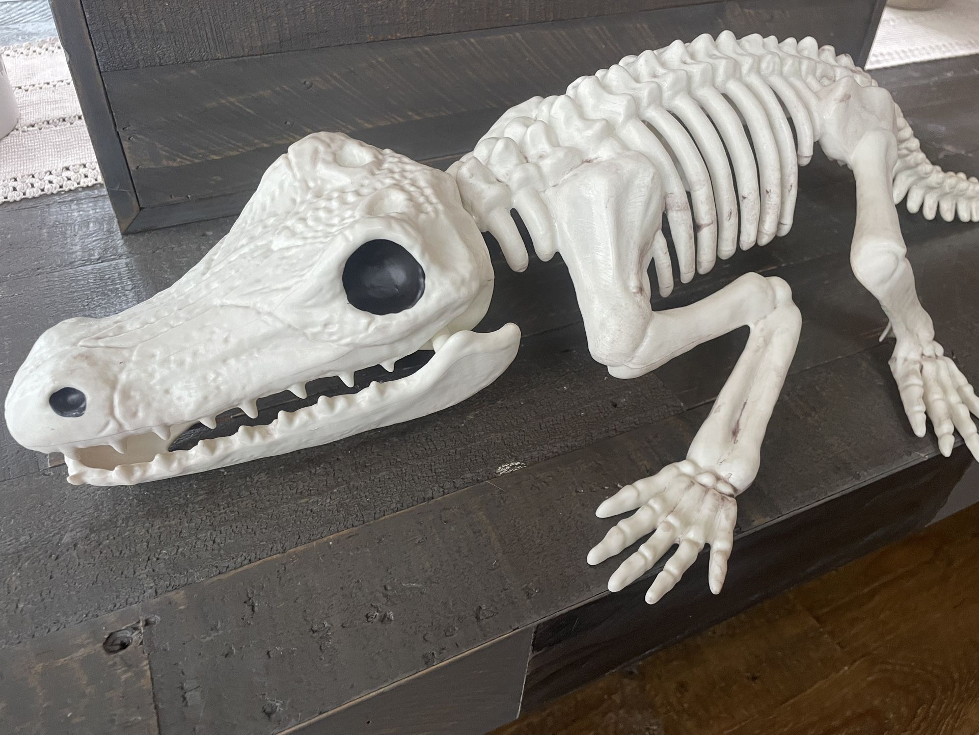 Giant Skeleton Crocodile/Alligator - Faux - photo 2