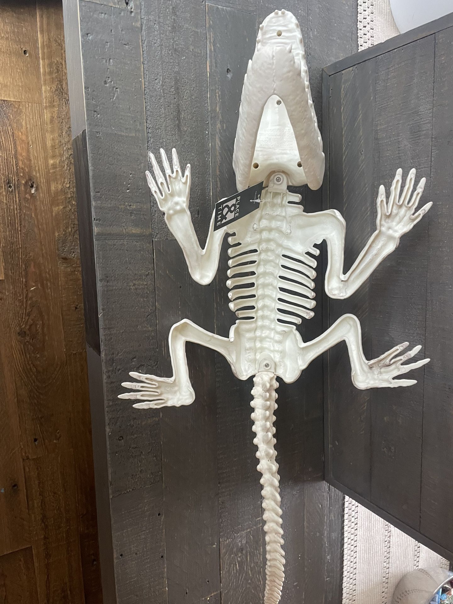 Giant Skeleton Crocodile/Alligator - Faux - photo 3