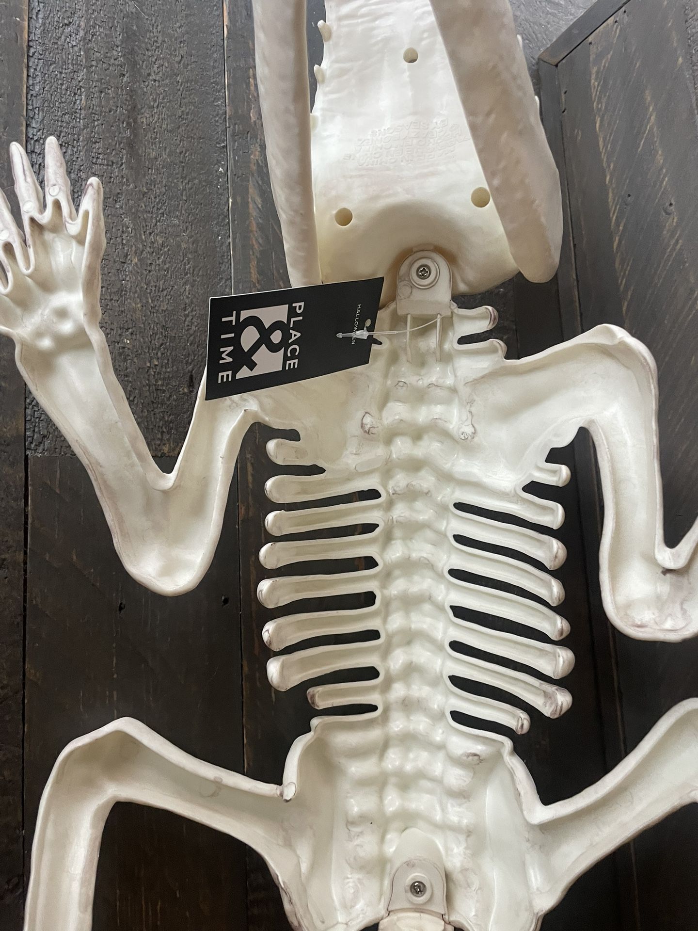 Giant Skeleton Crocodile/Alligator - Faux - photo 4